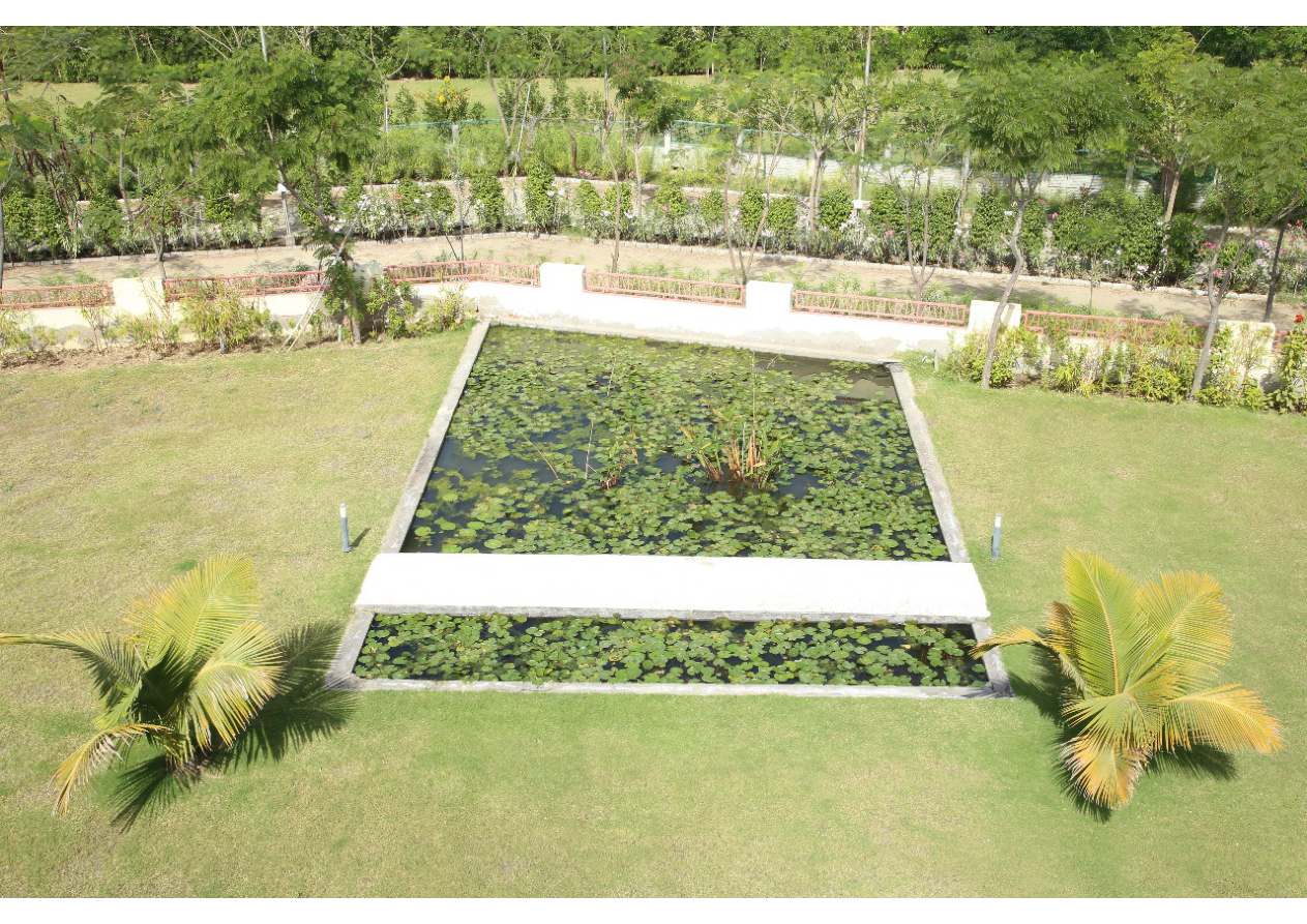 Landscaped Lily Pond