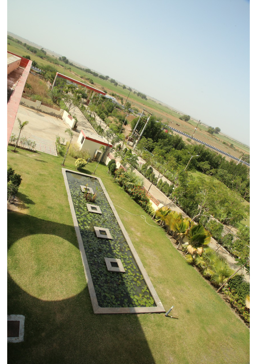 Theme Garden & Water Lily Pond