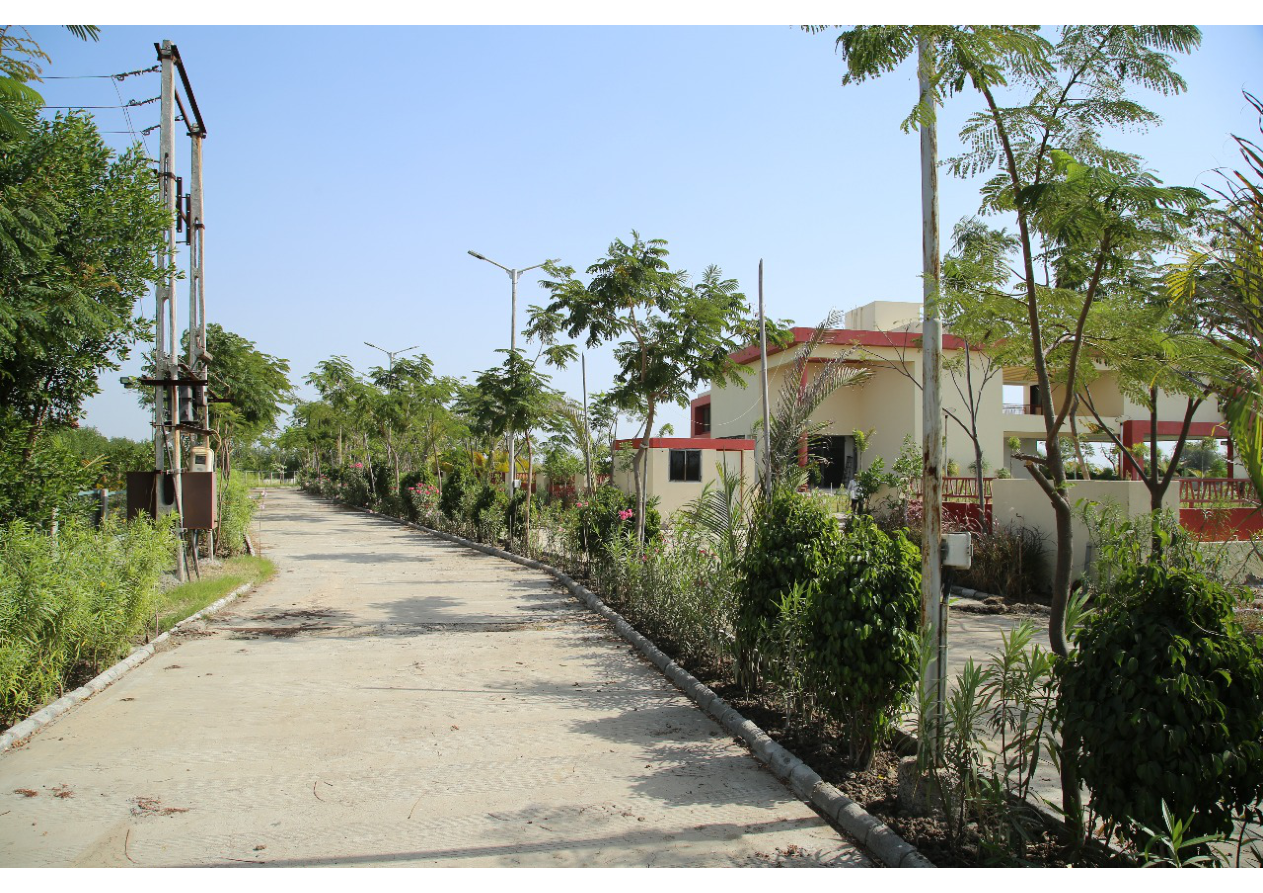Balaji Dream City Wide Roads and Infrastructure